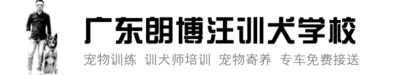 朗博汪训犬学校